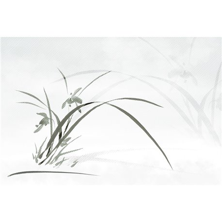 EVANESCENT 02 EVANESCENT 02