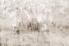 FRONDE 02