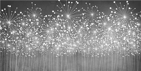 EXPLOSE 01