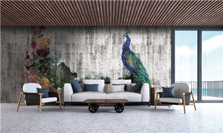 PEACOCK 02