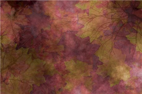 VINEYARD 02