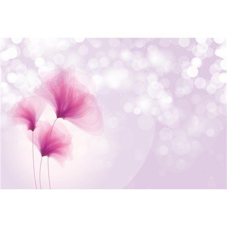 ROMANTIC DREAM 01 ROMANTIC DREAM 01