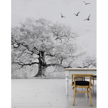 ARBRE I LA POLS 02