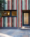 LINES OF COLOR 02
