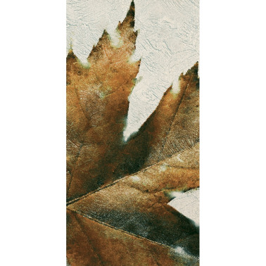 FALLING INKFLMW19C1M8LD
