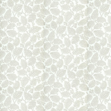 Beech Nut Warm Grey 0260BEWARMZ