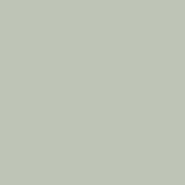 Pearl Colour Dark N-169