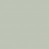 Pearl Colour Dark N-169