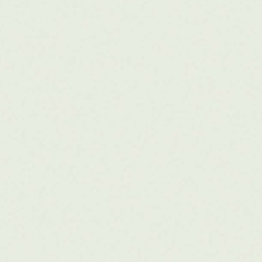 Pearl Colour Pale N-167