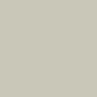 French Grey N-113