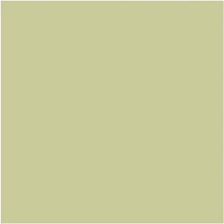 Kitchen Green N-85 Kitchen Green N-85