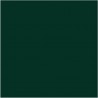 Mid Azure Green N-96