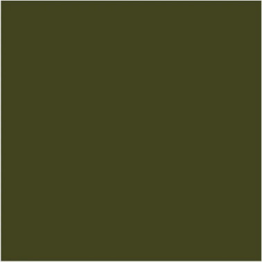 Olive Colour N-72