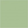Pea Green N-91