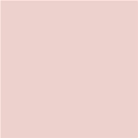 Pink Slip N-220 Pink Slip N-220