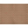70874-3 A STRIPES-LADYBUG-SPRITZ