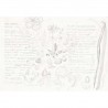 78690-1 SEMINAMI-WHITE