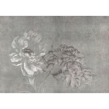 64068-1 A PLUMIER-GREY