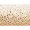 65183-3 TRIABLES HONEY