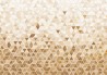 65183-3 TRIABLES HONEY