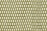 79828-1 STUDIO-54-GREEN