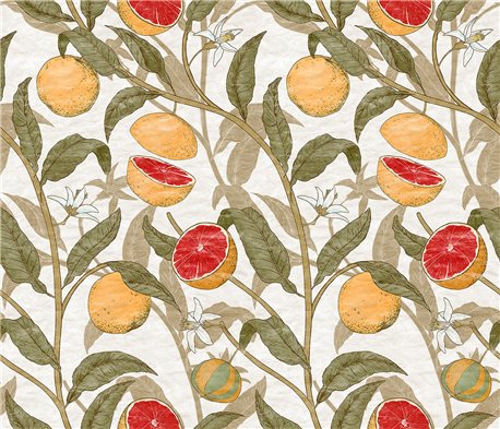 76724-1 CITRUS-COCOA