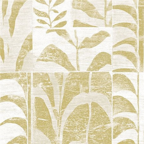 Canopy 42020 Canopy 42020