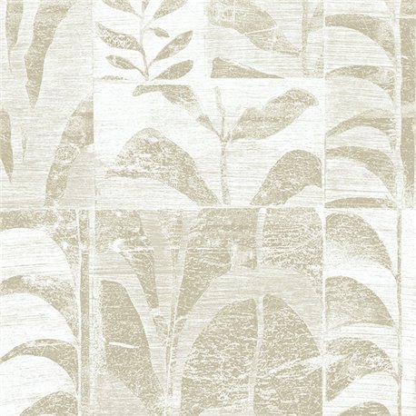 Canopy 42023 Canopy 42023