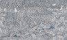 THE_EYE_OF_TIGER ACG-22 A
