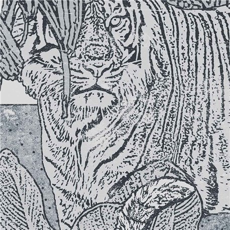 THE_EYE_OF_TIGER ACG-22 A