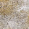 TRACES OF GOLD 1 MF-14