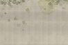 HANAMI GLXI561B