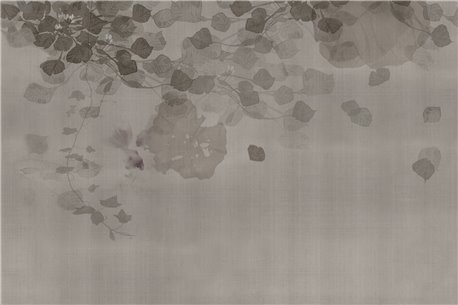 HANAMI GLXI562A