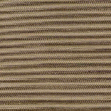 Senses CH9123-040