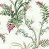 Wild Ferns Coral A00021