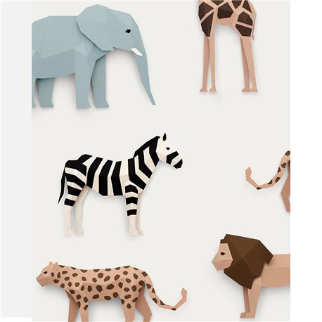Safari Safari