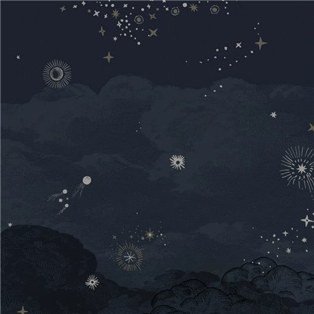 Cosmos NUIT Cosmos NUIT