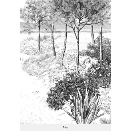 DUNE GRIS DUNE GRIS