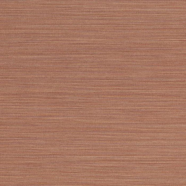 Cannete 10370