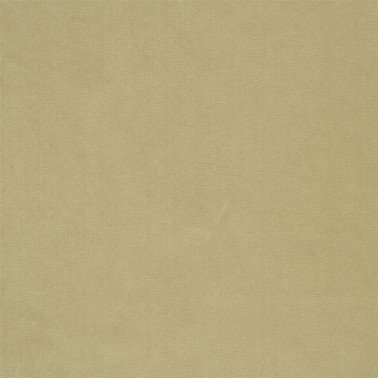 F2034_04 CASSIA