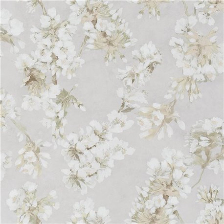 Fleur D Assam Pearl PDG1148-01 Fleur D Assam Pearl PDG1148-01