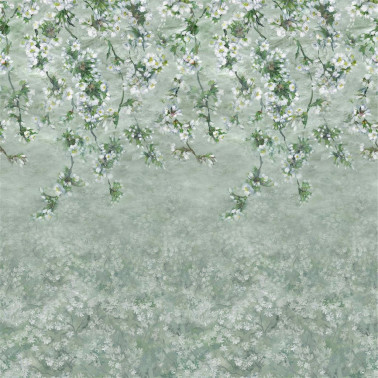 Assam Blossom Sage PDG1133-02