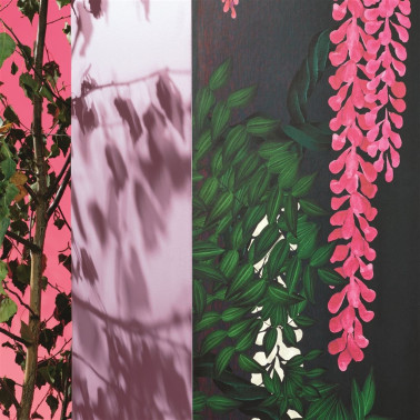 Wisteria Alba Magenta...
