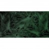 MU11069 Muance Green Passion Leaf