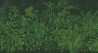 MU11047 Muance Green Botanical