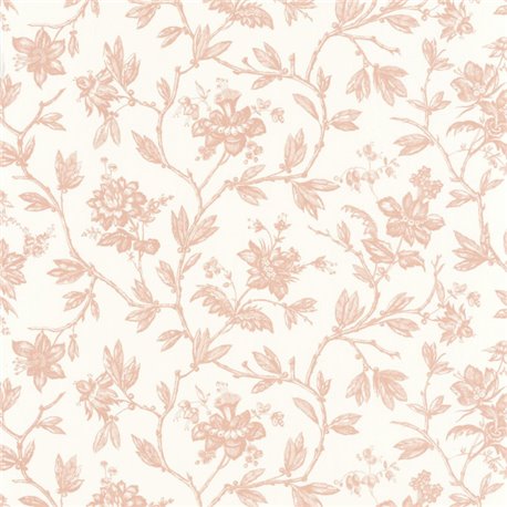 Rosa Rose Blush 87964122 Rosa Rose Blush 87964122