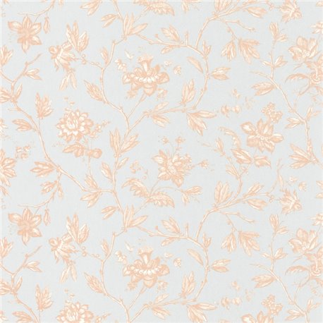 Rosa Rose Peche 87964215 Rosa Rose Peche 87964215
