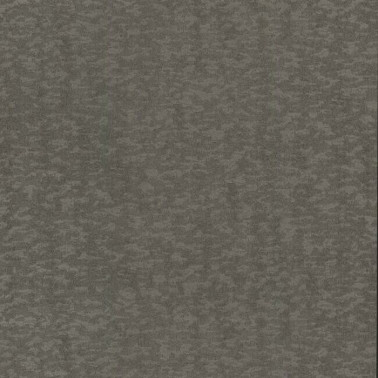 Weathered Cypress Warm Silver DD3751~1