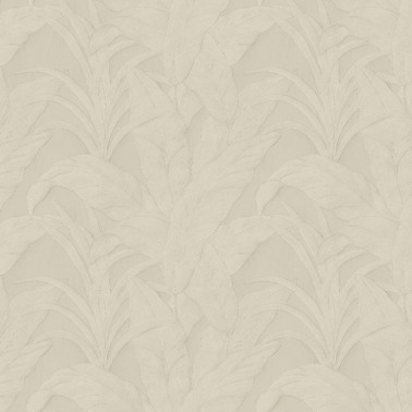Musa Fog 75002B