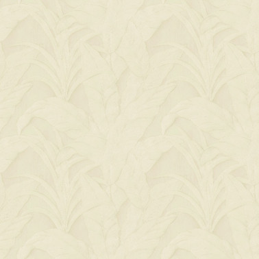 Musa Pearl 75005B